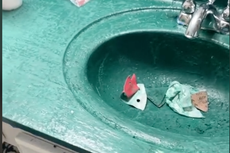 Se vuelve viral en TikTok la “Picassso del bricolaje” luego de desastrosa renovación de baño