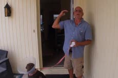 Hombre de Florida lucha contra un cocodrilo para salvar a su perro