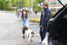 Reportera de televisión reconoce a perro robado y lo rescata del presunto ladrón
