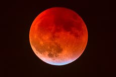 Superluna de las flores: origen, significado y por qué se llama así la luna llena de mayo