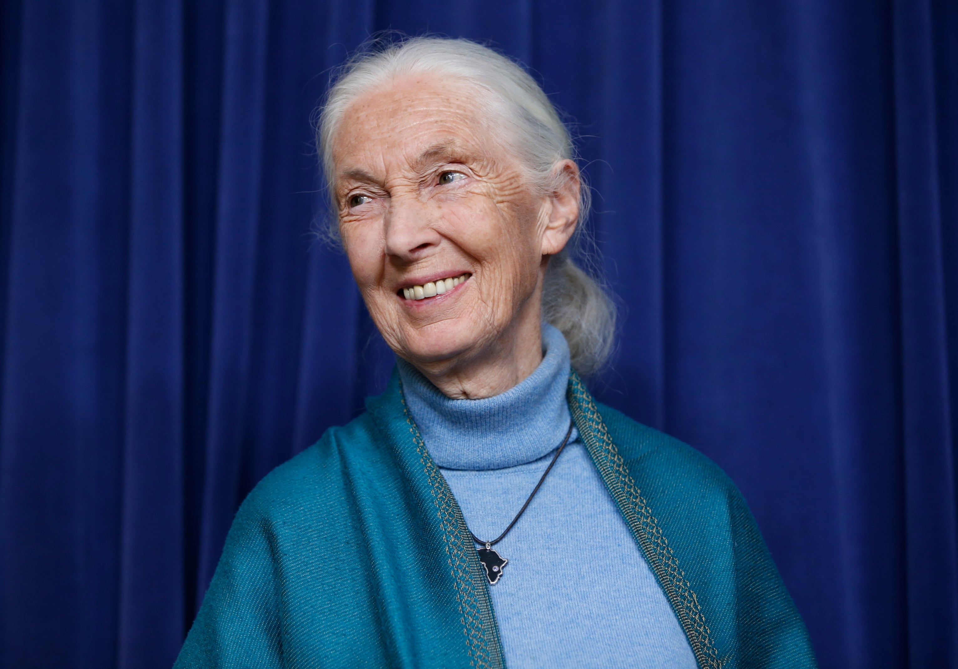 Jane Goodall fue protagonista de decenas de películas y documentales
