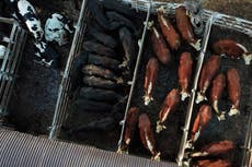 Argentina: comienza paro de comercialización de carne