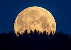 Luna de lobo: la primera luna llena de 2022 saldrá esta noche sobre cielos despejados