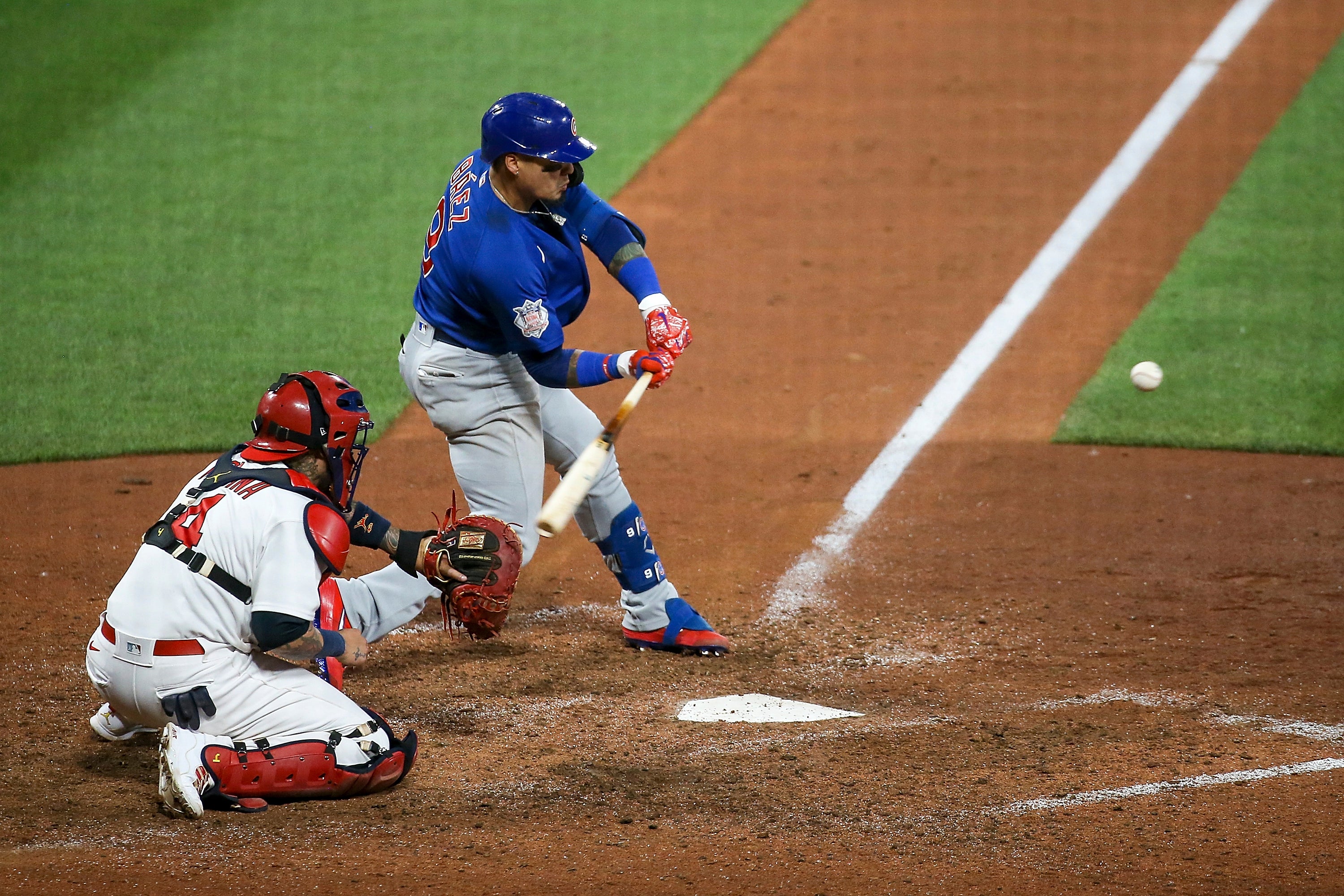 CACHORROS-CARDENALES