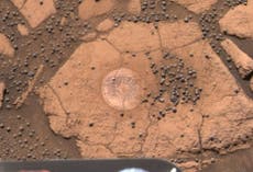 ¿Son los hongos en Marte una prueba de vida extraterrestre?