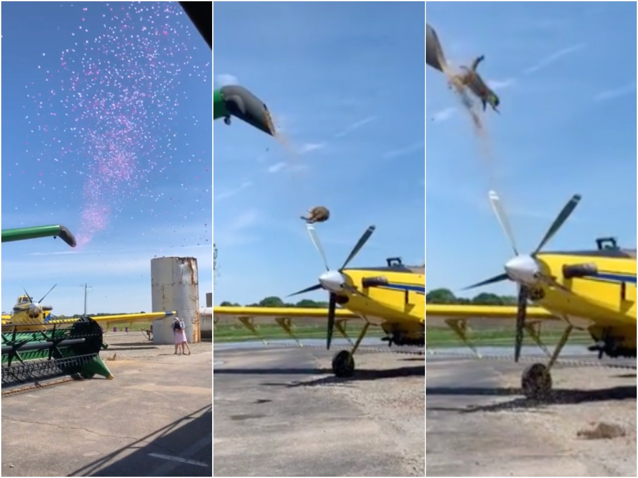 Fiesta de revelación de género es interrumpida por dos mapaches voladores