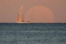 Eclipse lunar comienza a verse en Nueva Zelanda
