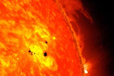 Erupciones solares: ¿qué son, qué las causa y qué tan peligrosas pueden ser para la vida como la conocemos?