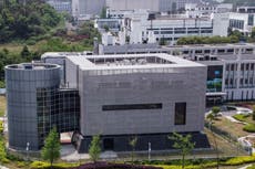 ¿Por qué están ganando terreno las teorías sobre la filtración del covid de un laboratorio de Wuhan?