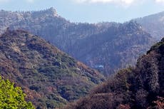 Reporte: Incendio en California mató más de 7.000 secuoyas