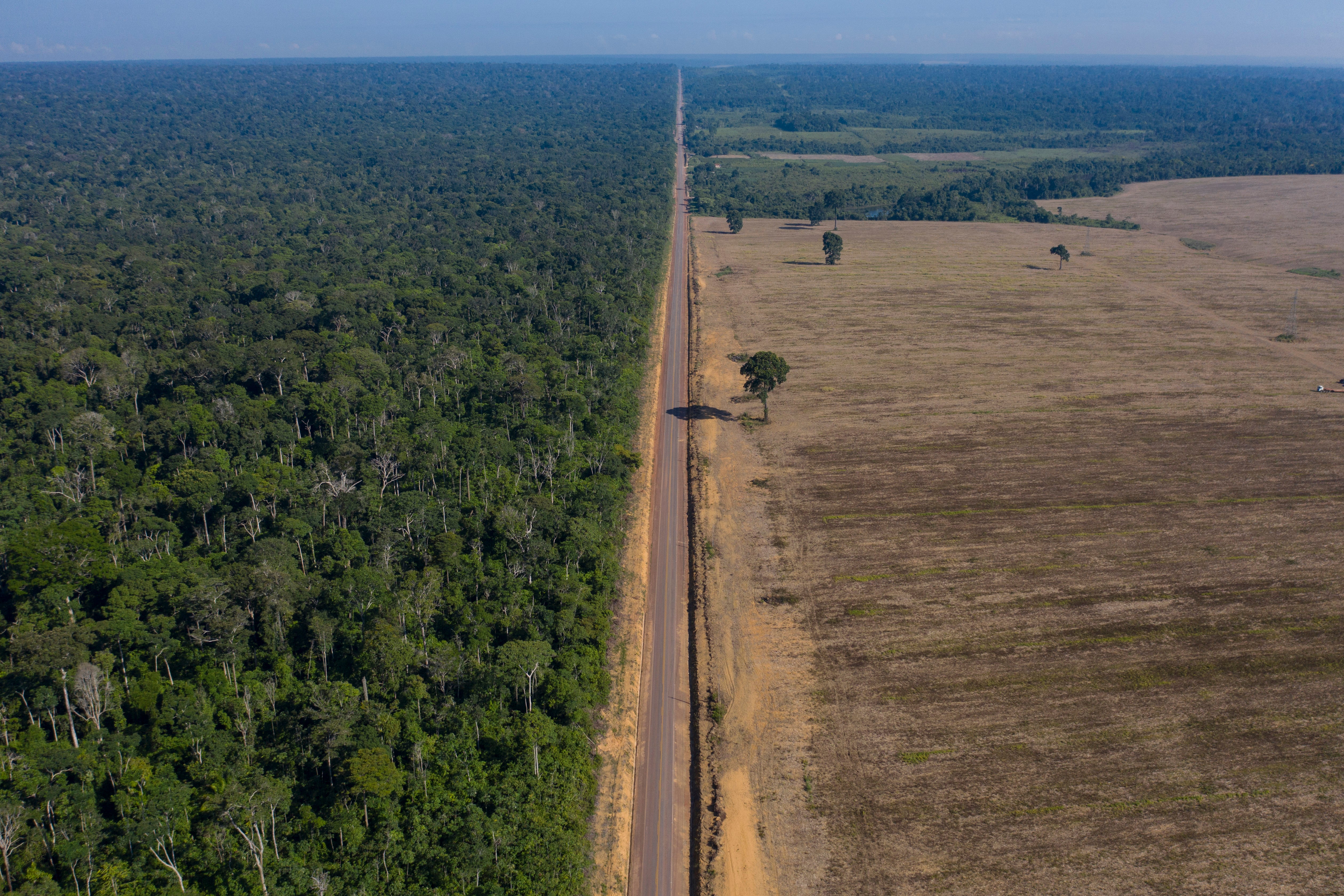 BRASIL-AMAZONAS DEFORESTACION