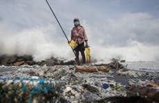 Sri Lanka: Pescadores sienten impacto de desastre naviero