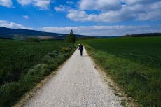 Peregrinos vuelven al Camino de Santiago tras restricciones