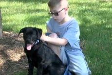 Donan miles de dólares a un niño de 8 años que vendió sus tarjetas Pokémon para salvar a su cachorro enfermo