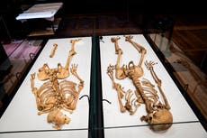 Esqueletos de era de los vikingos se reunirán en exposición