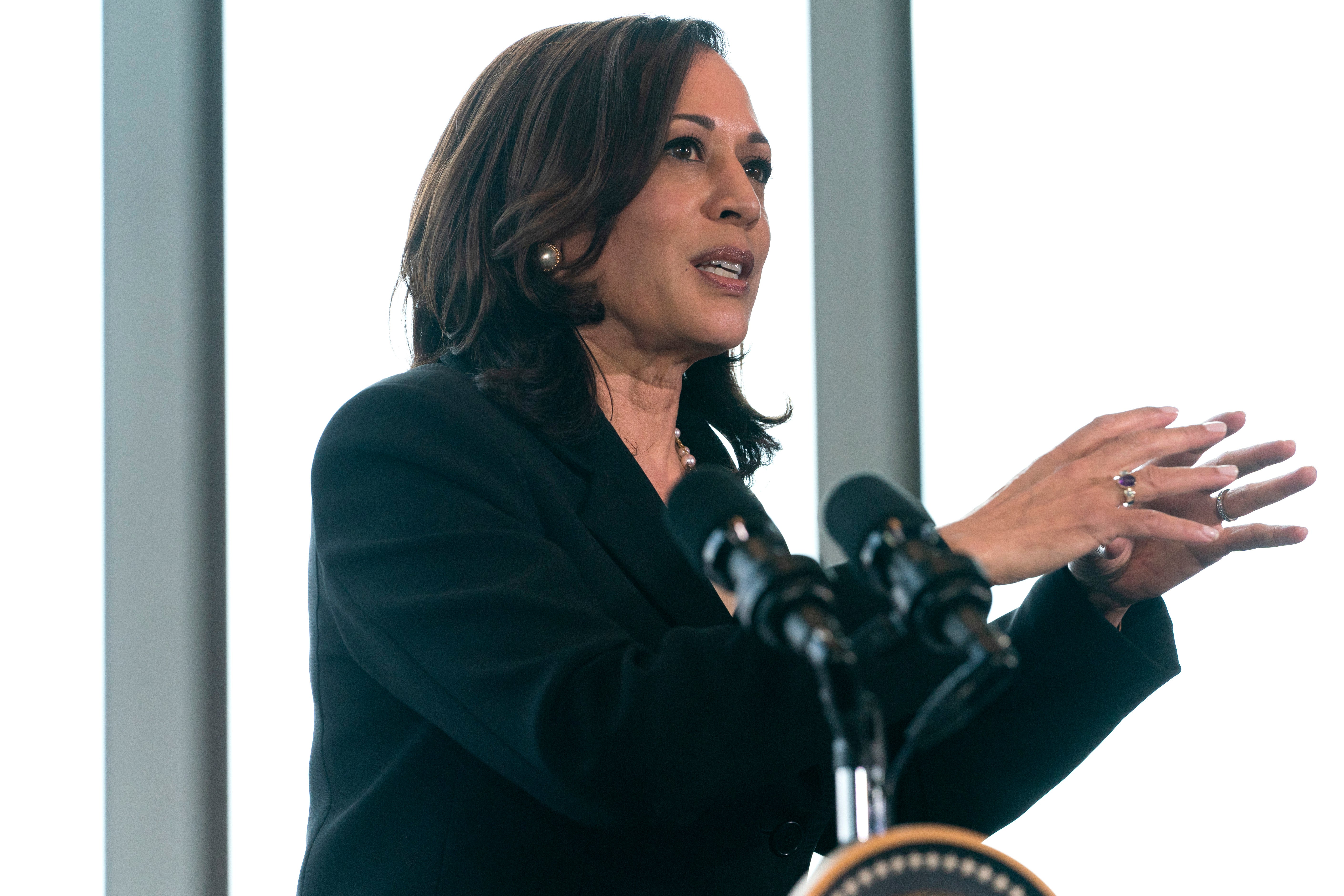 Kamala Harris pide a AMLO dejar trabajar a las ONG y a la prensa en México