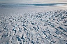 Antártida alcanza una temperatura récord de 18,3 ° C, confirma la ONU