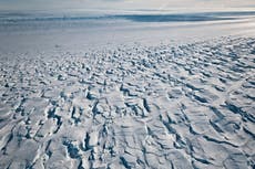 Antártida alcanza una temperatura récord de 18,3 ° C, confirma la ONU