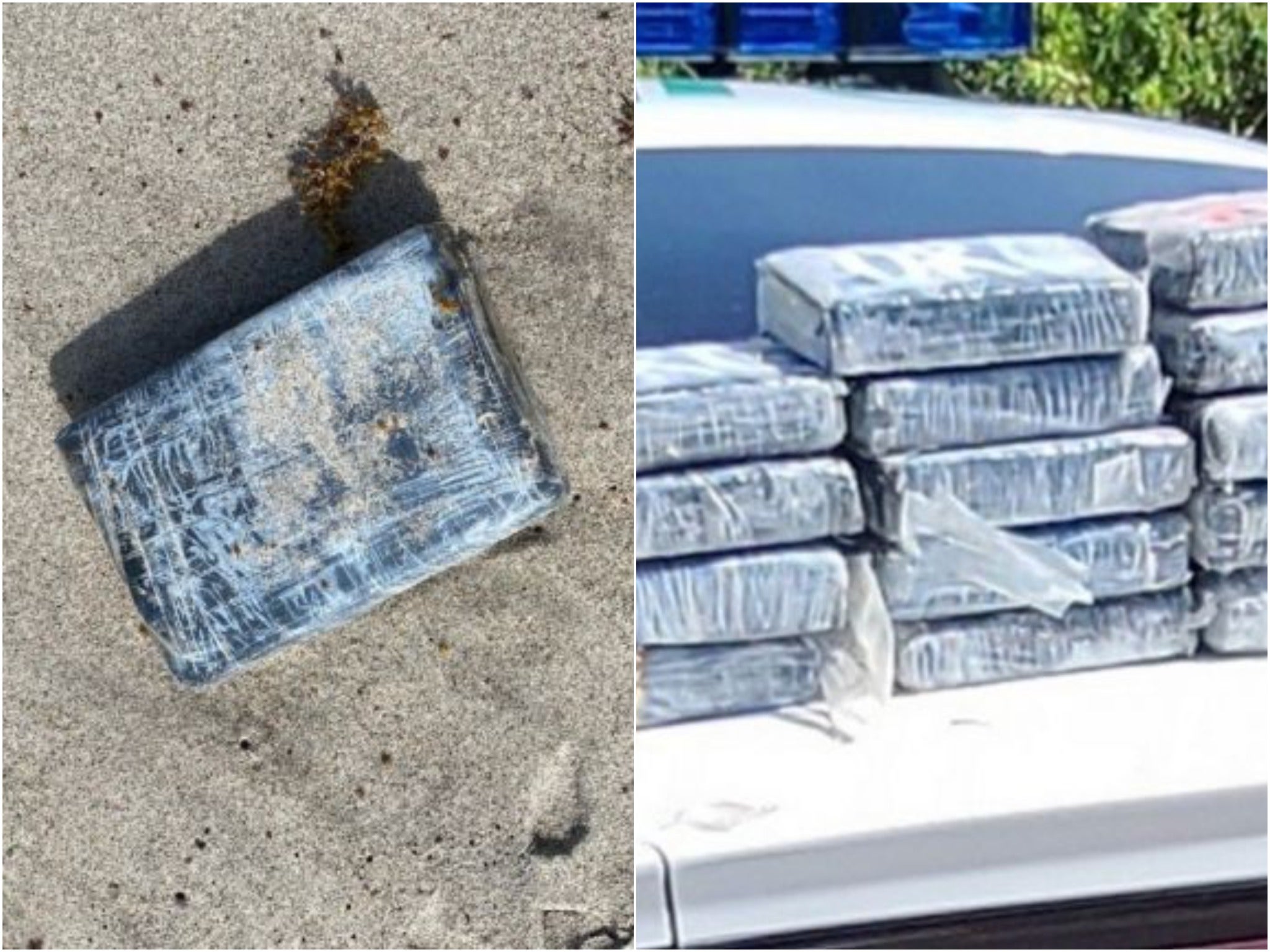 Cocaína con valor a $1,2 millones llega a la Estación Espacial de Florida