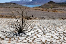 Agricultores abandonan cultivos, residentes de Utah piden orar por lluvia debido clima caluroso en EE.UU.