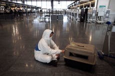 EEUU prohíbe entrada de perros de países con riesgo de rabia