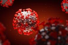 OMS llama Lambda a la variante del COVID-19 en América Latina