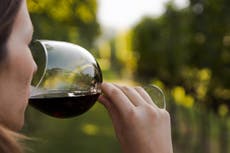 Critican a OMS por sugerir que “mujeres en edad fértil no deberían beber alcohol”