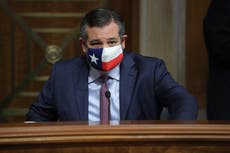 Ted Cruz dice que espera que Matthew McConaughey no se postule para gobernador de Texas: “Sería formidable”