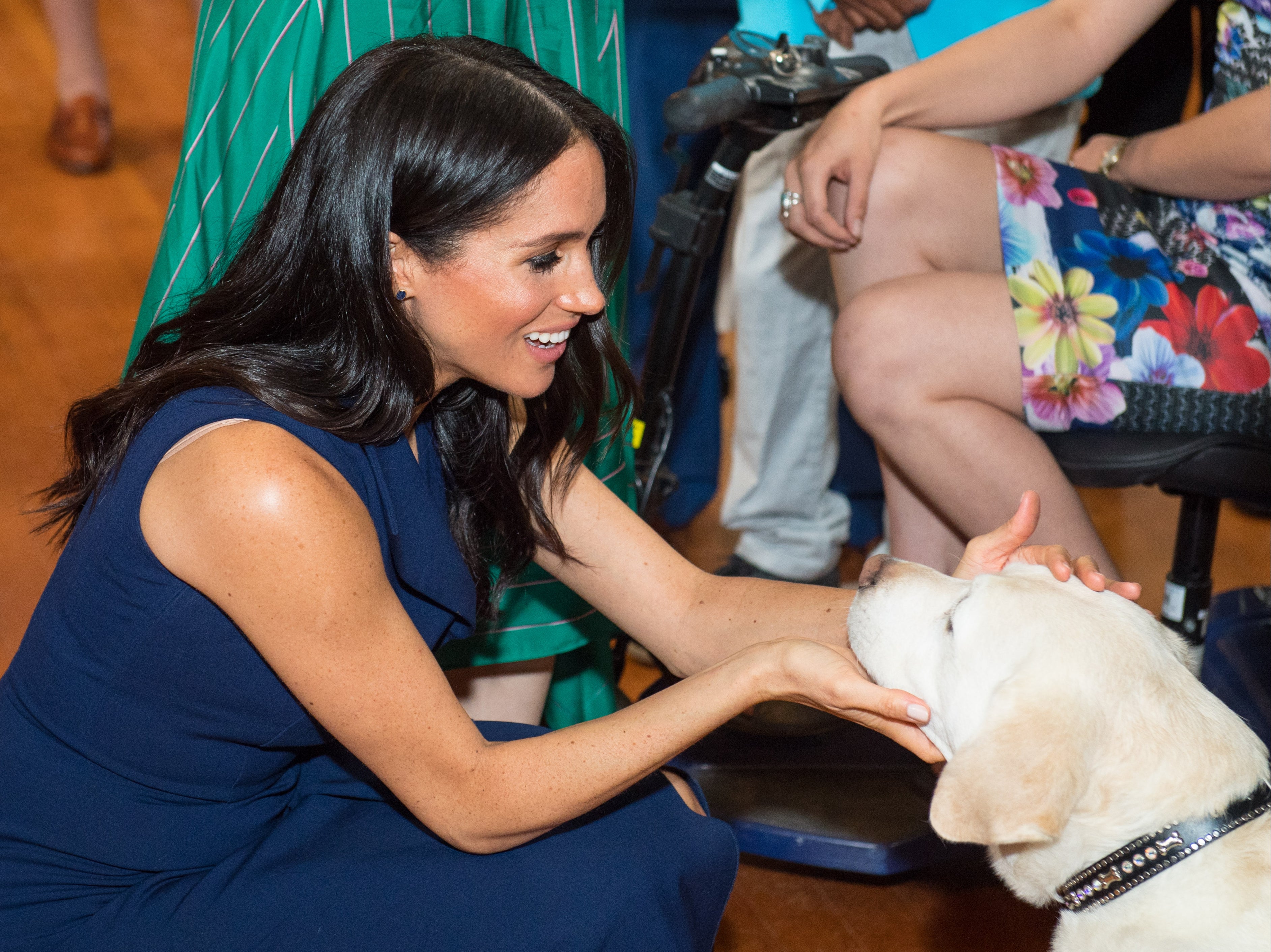 Meghan Markle agradece a los amantes de los animales por su apoyo durante la pandemia