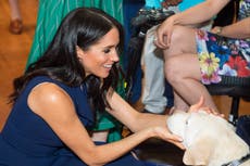Meghan Markle agradece a los amantes de los animales por su apoyo durante la pandemia