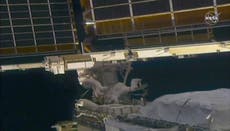Astronautas cambian paneles solares de la estación espacial