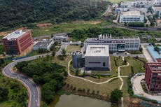 Casa Blanca no aceptará que China diga no a investigación sobre origen del Covid