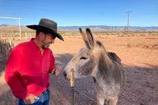 Leales a Trump en cargos públicos tienen futuro incierto