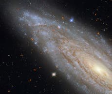 Telescopio espacial Hubble de la NASA captura una galaxia lejana con un fascinante secreto 
