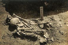 Hombre que murió hace 3 mil años fue la primera víctima de un ataque de tiburón