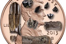 Equipo de investigación descubre “sala de maternidad prehistórica” de un dinosaurio del Ártico