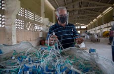 Cuba: emprendedores se suman a la industria "verde"
