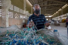 Cuba: emprendedores se suman a la industria "verde"