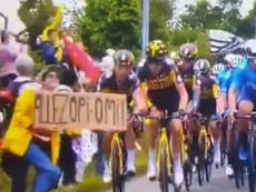 Tour de France: Arrestan a mujer que derribó con un cartel de cartón a pelotón de ciclistas