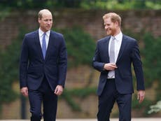 Los príncipes Harry y William son vistos sonriendo juntos en la reunión para inauguración de la estatua de Diana