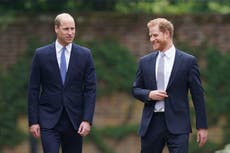 Finding Freedom: ninguno de los problemas entre el Príncipe Harry y el Príncipe William podría haber afectado la inauguración de la estatua de Diana