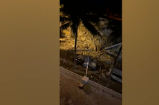 Colapso de edificio en Miami: turista revela que trató de gritar y advertir a los residentes