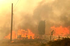 Crisis climática hizo que ola de calor mortal de Norteamérica fuera “150 veces más probable”