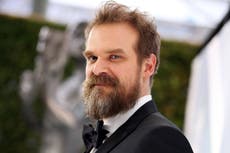 David Harbour dice que su gatito lo ayudó a salir del alcoholismo severo