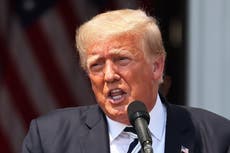 Trump se ha tendido “trampa” legal con gran demanda tecnológica, dice un abogado