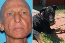 Hallan muerto a hombre de 70 años con su perro fiel sentado a su lado