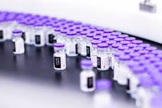 Pfizer solicitará aprobación de 3ra dosis de su vacuna COVID