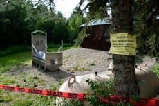 Asesinan a tiros al oso grizzly que arrastró y mató a una mujer