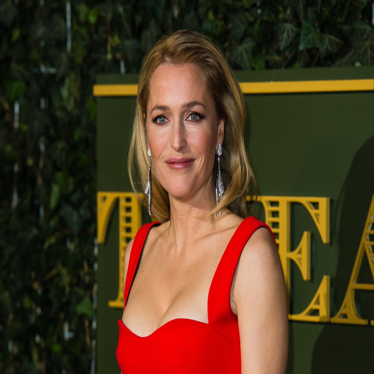 No me importa si mis senos me llegan al ombligo”: Gillian Anderson promete  dejar de usar sostén | Independent Español