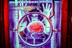 Científicos descubren proteína que podría ayudar a las personas a borrar malos recuerdos